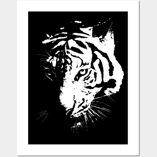 White Tiger Posters and Art